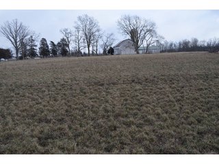 Property photo 77 - 127 Acres Offered in 8 Tracts - Allen & Dekalb County Land